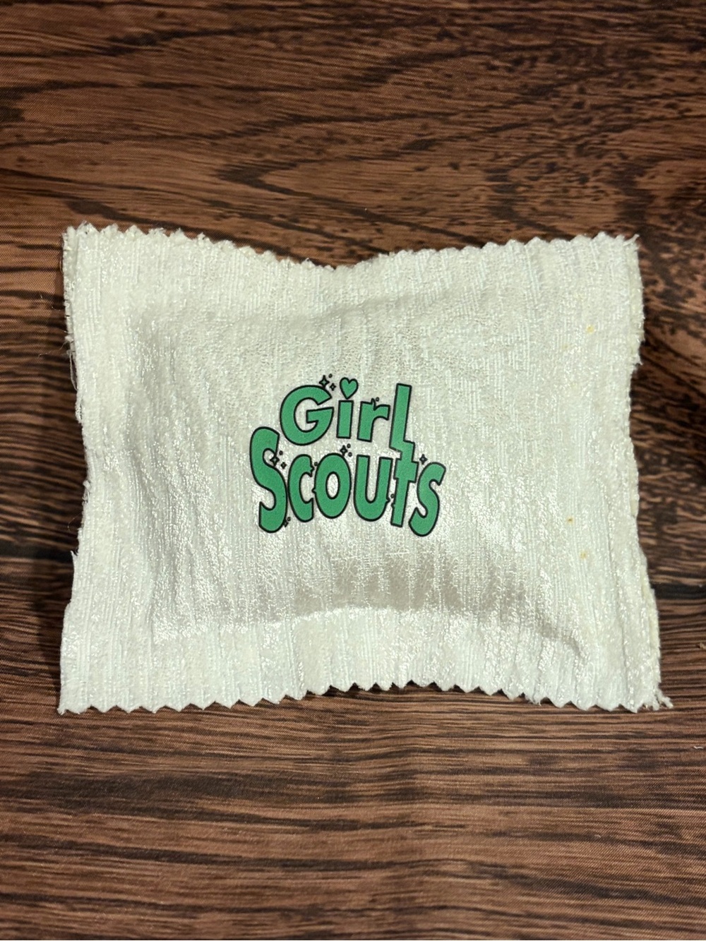 Girl Scouts Green mini pillow Cream